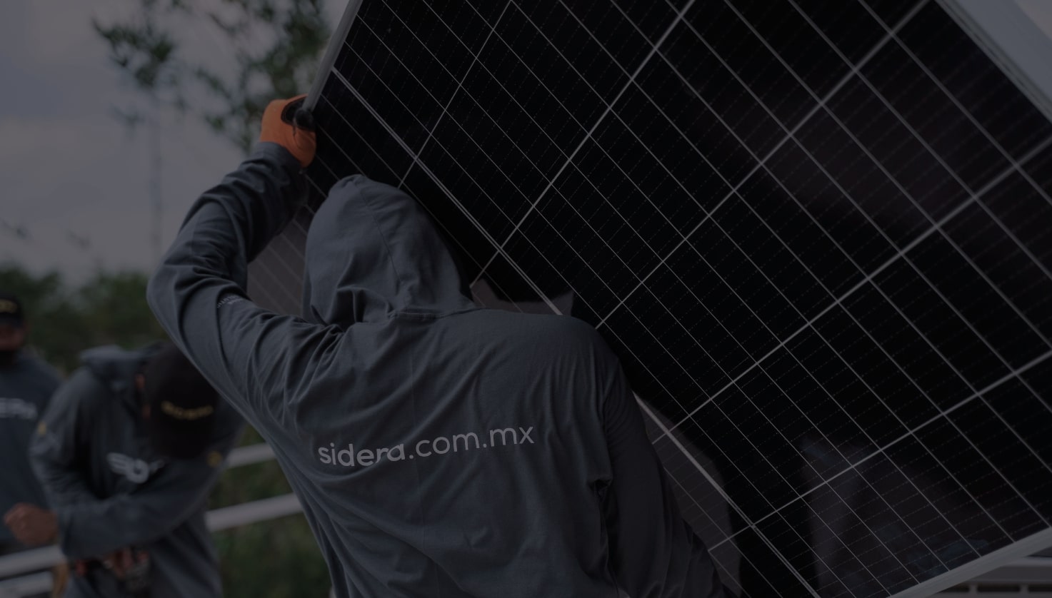 Expertos y líderes en Paneles Solares